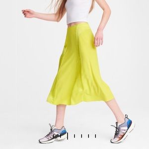 NWOT Rag and Bone Lucille midi skirt